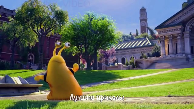 ЛУЧШИЕ ВИДЕО ПРИКОЛЫ 2016 Самые смешные приколы 2016 Выпуск 24