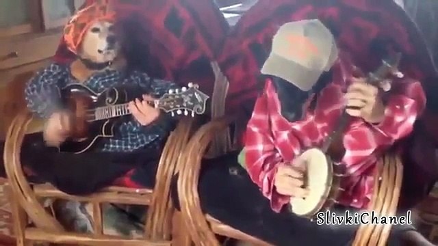 Самые нелепые приколы 2013 1 Часть ЛУЧШИЕ ПРИКОЛЫ ЗА НЕДЕЛЮ