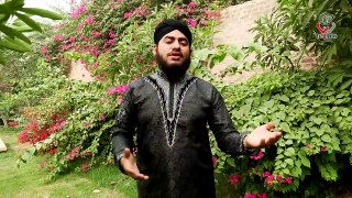 New Kalam 2017   Barsat Madine Main By Zohaib Raza Qadri New Naat Album 2017   Naat Online Tv