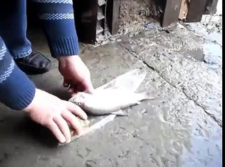 Как чистят рыбу Челябинские мужики  Прикол
