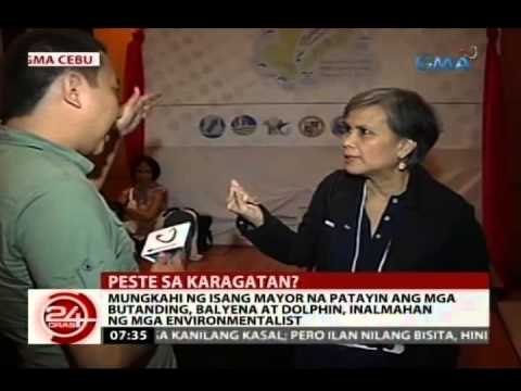 Mungkahi ng isang mayor na patayin ang mga butanding, balyena at dolphin, inalmahan
