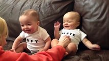 Two babys funny video must watch