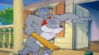 Tom And Jerry E35