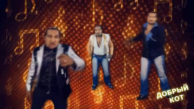 ЛУЧШИЕ ПРИКОЛЫ ДОБРЫЙ КОТ №28 май 2016 [перезалив]