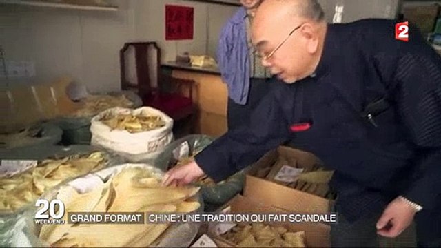 Les protecteurs des requins élèvent leurs voix contre la Chine et leurs traditions - Regardez