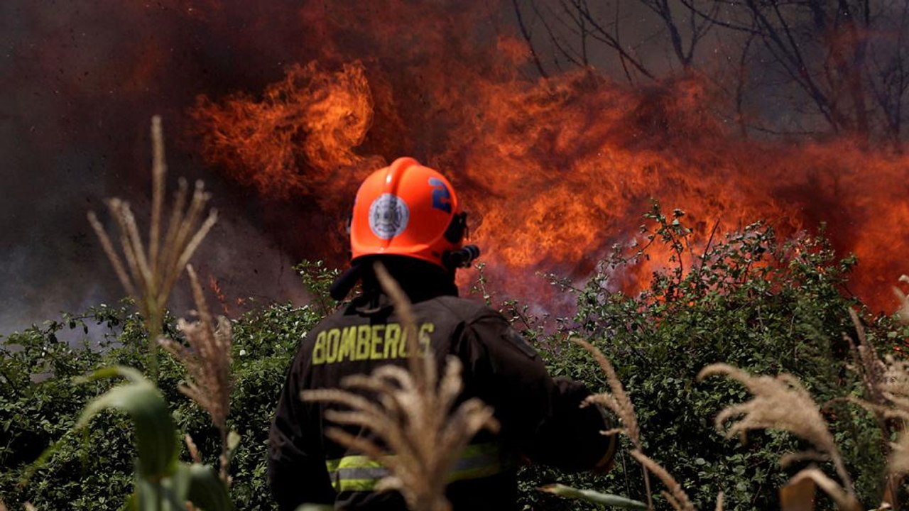Chile: machtlos angesichts der flammen