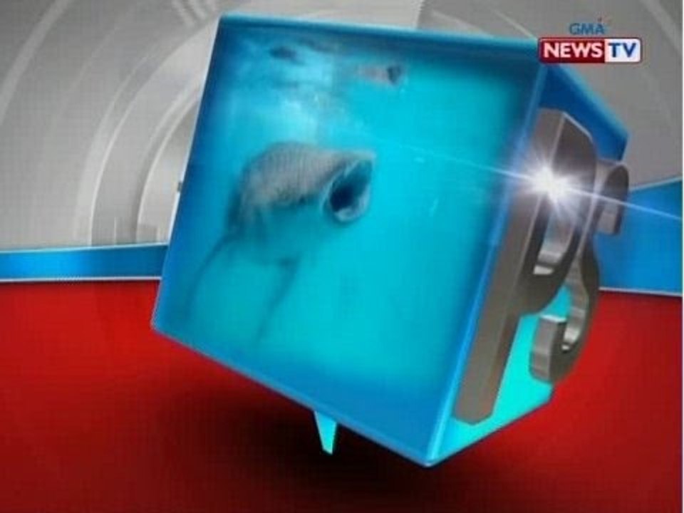 SONA: PostScript: Balanse