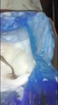 رسالة عاجل : الكورنيط أو الكرواصة لي كتاكلو راها حرام و ها علاش