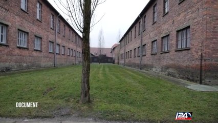 Edition Spéciale Journée de Commémoration de la Shoah - 27/01/2017