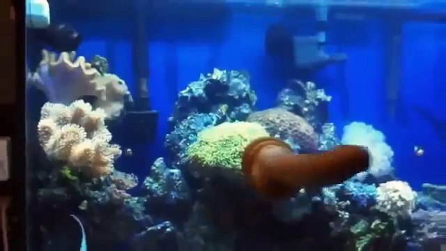 Приколы 2013 Подборка Видео новые самые лучшие приколы