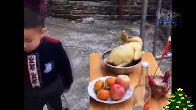 Приколы 2017 УГАРНЫЕ ПРИКОЛЫ ДО СЛЕЗ Новые смешные видео лучший тест на психику