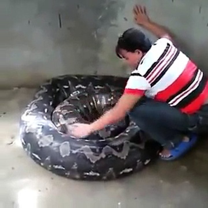 Mina Mexendo Na Cobra