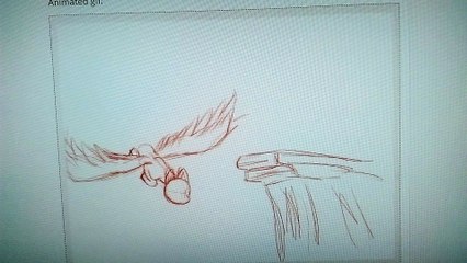 Flight Animation Cycle