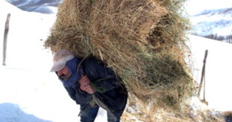 Kızakları Çalınan Köylüler, Hayvanları İçin Otları Sırtında Taşıyor