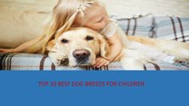 Top 10 Best Dog Breeds for Children| Top 10 Best Dog Breeds for Kids