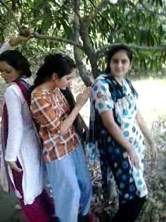 Panjabi Maza