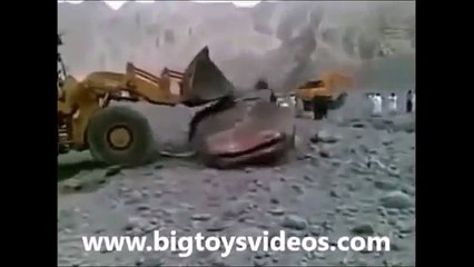 Karaya Vuran Balinayı Kepçe Zor ittiriyor