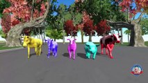 Gorilla colors finger family 3d Animation cartoons - Wild animals Finger family rhymes for Children