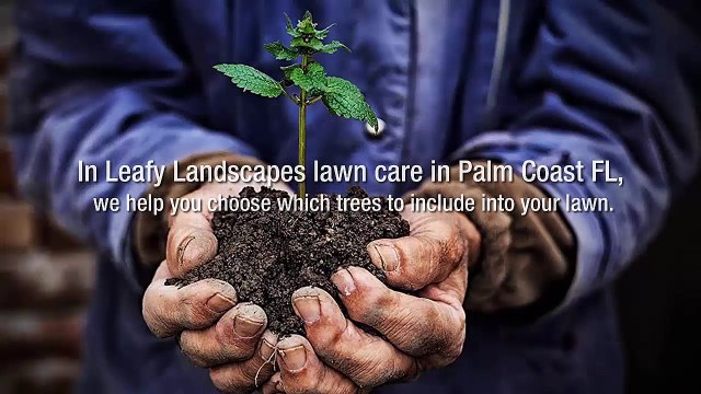 Some Lawn Care Tips From Leafy Landscapes