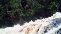 Trilhas das cachoeiras, Trekking, Serra do Mar, São Luiz do Paraitinga, SP, Brasil, Núcleo Santa Virginia, Serra  do Mar, amigos nas trilhas