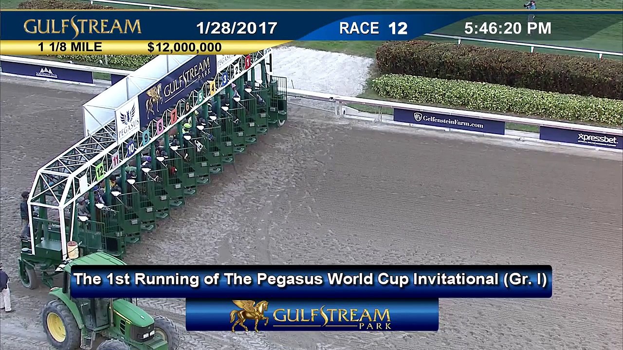 2017 Pegasus World Cup Invitational - Gulfstream Park
