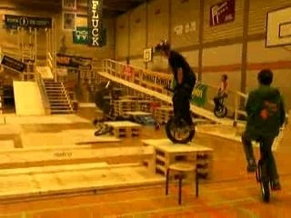 fluck 2007 - nico l'aille