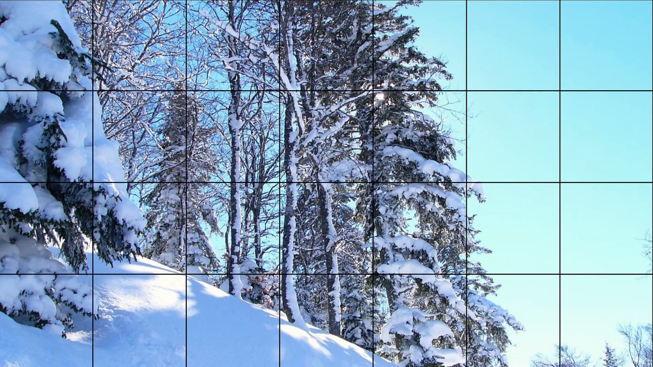 Arbres sous la neige en Pays de Sault