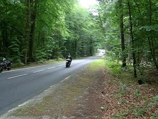 Hornet 600 MIVV exhaust