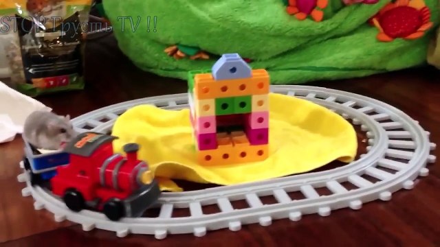 ✅ СМЕШНЫЕ ЖИВОТНЫЕ | Подборка приколов с животными 2016 | ПРИКОЛЫ С КОТАМИ | FUNNY ANIMALS 2016