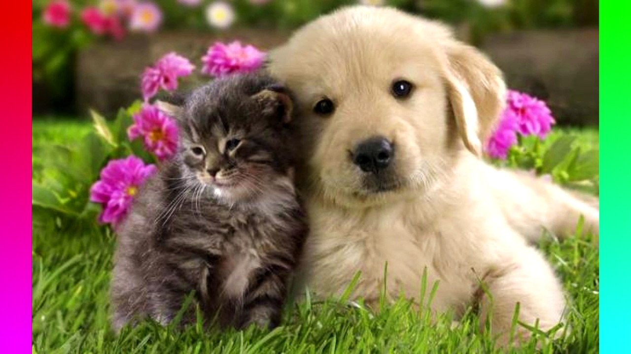 10 Facts You Dont Know About Japan - QuickTops