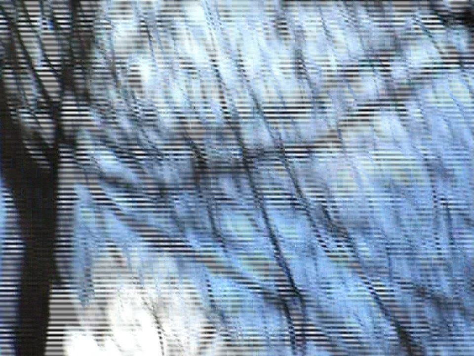 Ich und mein Freund im Schönwasserpark Krefeld..