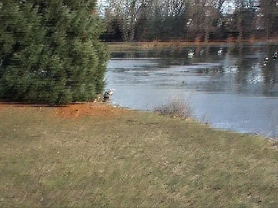 Ich und mein Freund im Schönwasserpark Krefeld