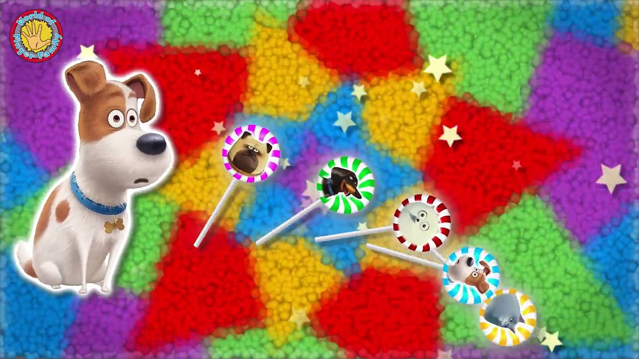 Secret Life Of Pets Lollipop Finger Family. Secret Life Of Pets Nursery Rhymes Lyrics