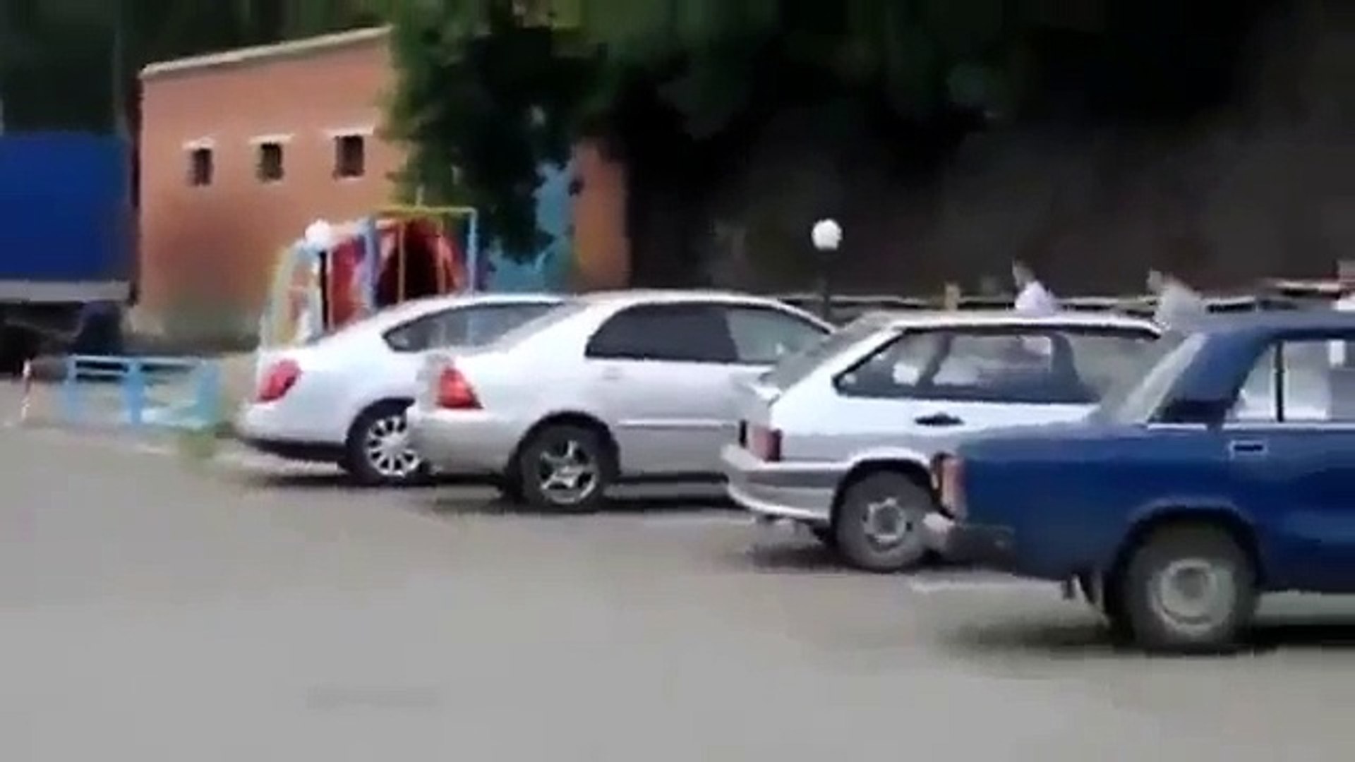 ⁣Прикольные собаки Кошки против собак Прикольные коты против псов Смотри прикол!