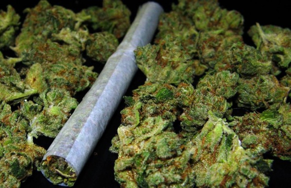 Konopie - Wyzwanie Dla Nauki ● CAŁY FILM DOKUMENTALNY LEKTOR PL