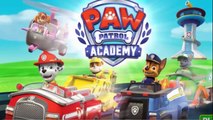 Paw Patrol - Ryder Academy - Patrulha Canina ( Paw Patrol)