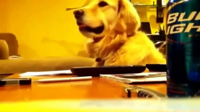 15 минут страшного смеха до слез!