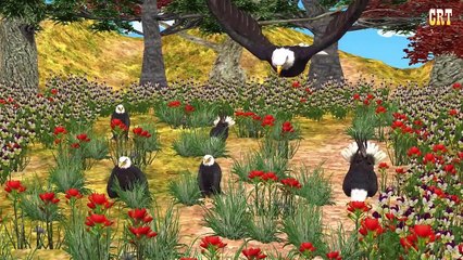 Eagle And Boy English Nursery Rhymes || 3D Nursery Rhymes For Cartoon Children Rhymes