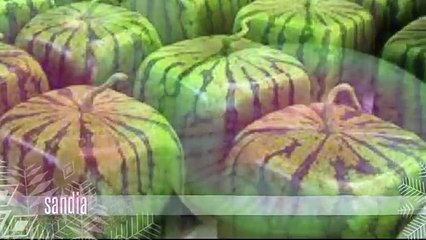 las frutas mas raras del mundo