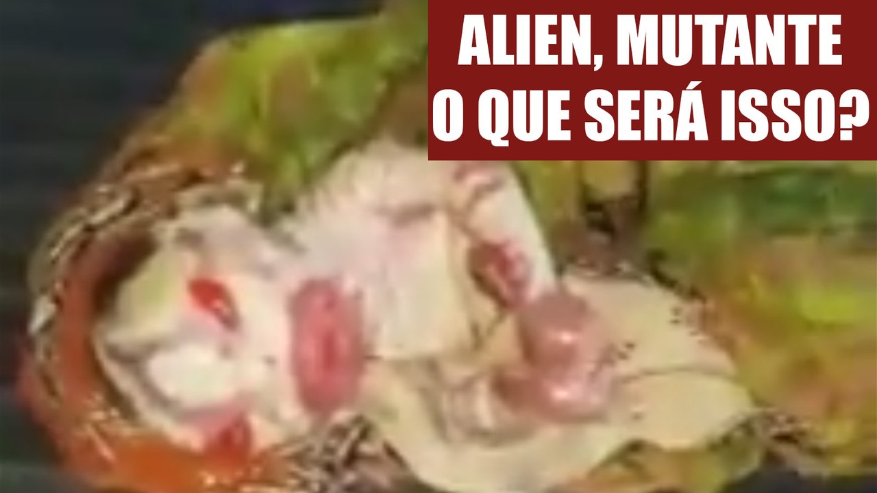 Alien, mutante, o que sera isso ?