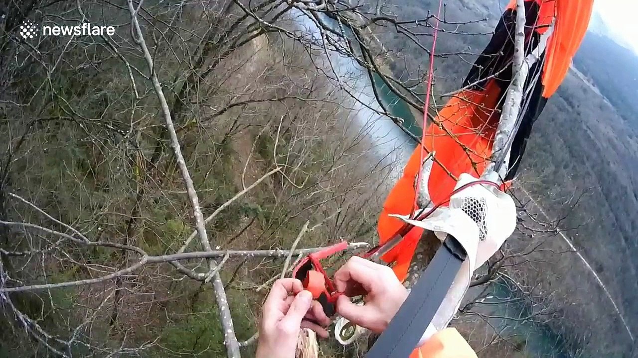 B.A.S.E  jumper crashes into trees