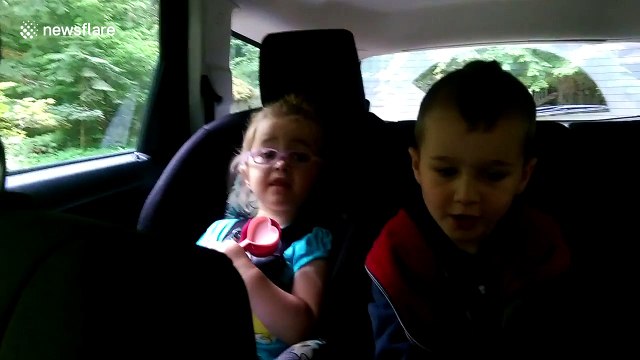 Girl, 3, raps to Beastie Boys and really nails it