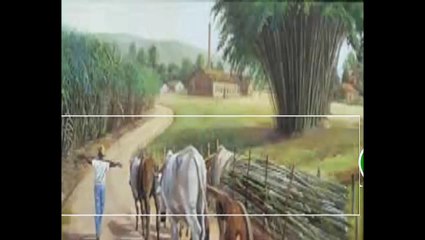 Conviértete En Un Crack Del Email Marketing Con GetResponse