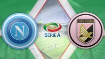 All Goals & highlights - Napoli 1-1 Palermo - 29.01.2017