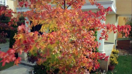 مسلسل أمي الحلقة 03 مترجمة للعربية (القسم 1)