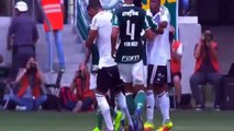 Palmeiras 1 x 1 Ponte Preta Gols Melhores Momentos Amistoso 2017