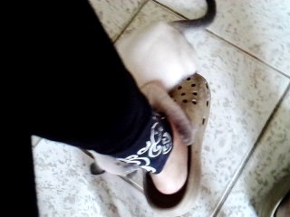 MEU GATINHO THEO. VID_20170118_112636