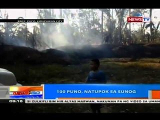 NTG: 100 puno, natupok sa sunog sa Kidapawan City