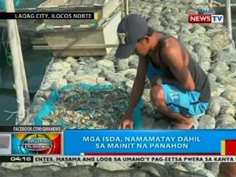 BP: Pagkamatay ng mga isda, isa sa mga problema ngayong mainit ang panahon