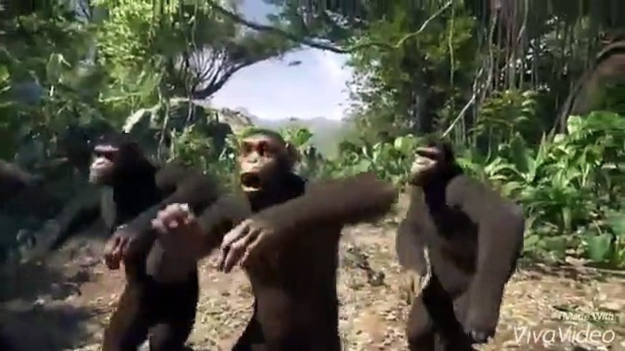 Fim De semana Começou